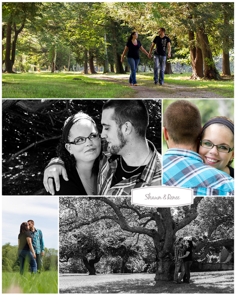 Topsmead Park, Litchfield, CT, couple session